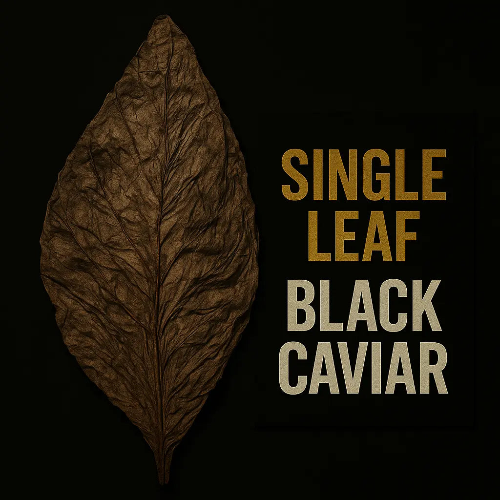 Black Caviar Grabba Leaf – Premium Dark Air‑Cured - Gizmograbbas.com