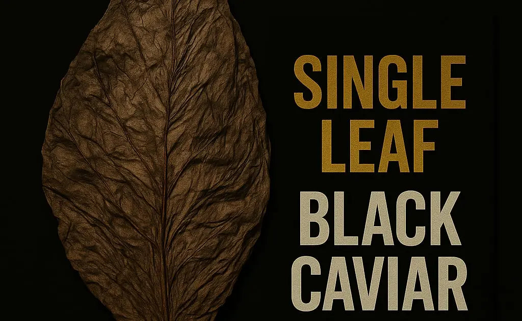 Black Caviar Grabba – Single Leaf – Premium Air Cured Tobacco – Smooth, Dark, #1 Best Seller | GizmoGrabbas
