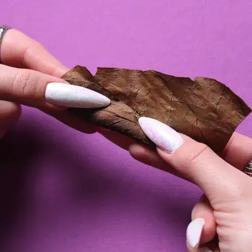 Luxury-Tobacco-Wraps-Why-Premium-Natural-Grabba-is-the-New-Status-Symbol Gizmograbbas.com