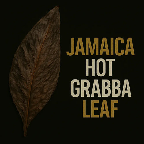 Jamaica Hot Grabba Leaf – Fire‑Cured Caribbean Heat GizmoGrabbas One Grabba Leaf