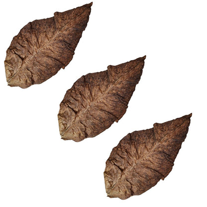 Full Leaf Grabba – Unmatched Quality and Flavor (1 Leaf, 3 Leafs, 5 Leafs Available)