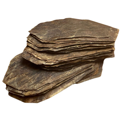 10 Pre-Cut FIRE ROASTED Gizmo Grabbas Fronto Leaf Premium Backwoods Cuts for Authentic Experience