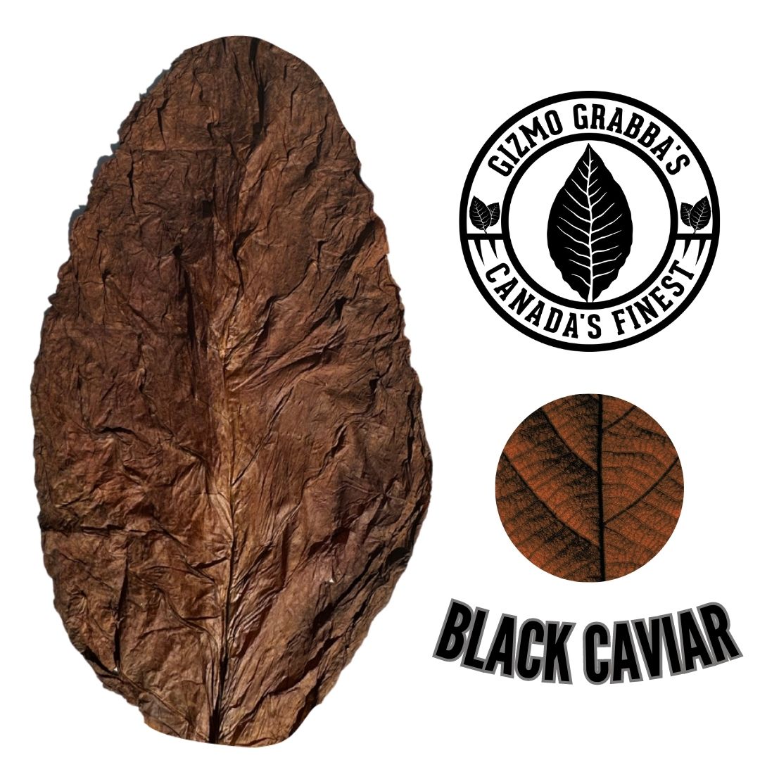 1LB Black Caviar Grabba Leaf - Artisanal Premium Natural Blend