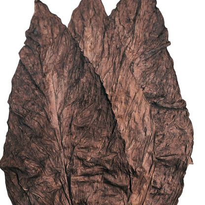 Grabba Leaf (All Flavors Available, Buy by the Pound to Quarter Pound)