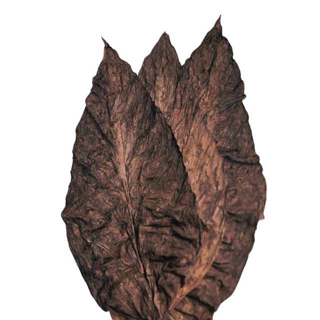 Wholesale Supplier: One Pound Dark Hot Grabba Fronto, Fire-Cured for Richness