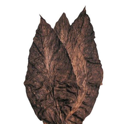 Grabba Leaf (All Flavors Available, Buy by the Pound to Quarter Pound)