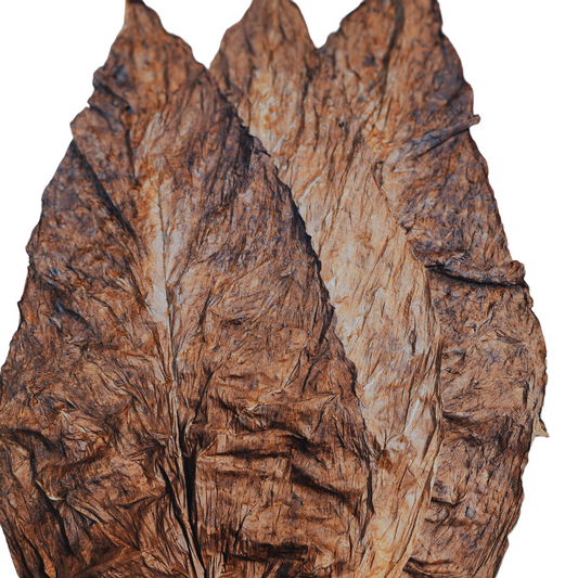 One Pound Light Hot Grabba: Dark Fire-Cured Bulk Leaf Fronto for Enhanced Flavor