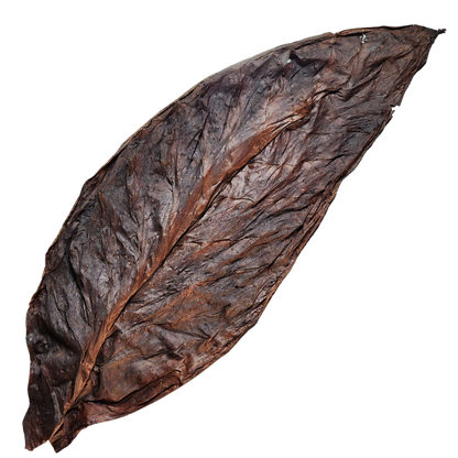 Full Leaf Grabba – Unmatched Quality and Flavor (1 Leaf, 3 Leafs, 5 Leafs Available)