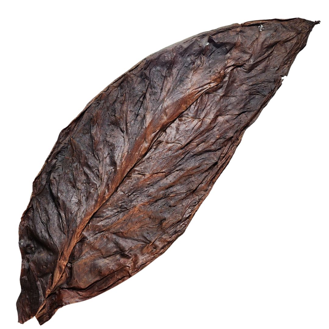 Full Leaf Grabba – Unmatched Quality and Flavor (1 Leaf, 3 Leafs, 5 Leafs Available) - Gizmo Grabbas