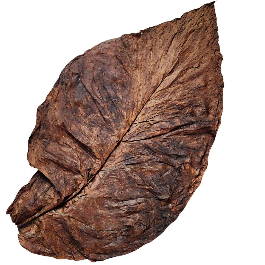 Full Leaf Grabba – Unmatched Quality and Flavor (1 Leaf, 3 Leafs, 5 Leafs Available)