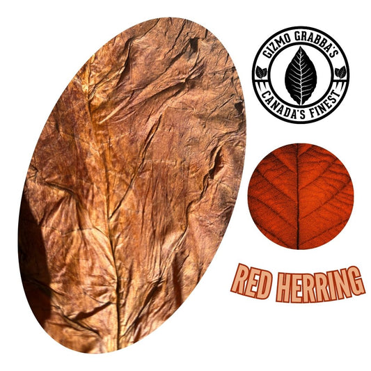 🔥🍁 Fire Cured Red Herring Grabba Leaf - Premium Aged Full Leaf | Rich, Robust & Full-Bodied Flavor Experience 📍