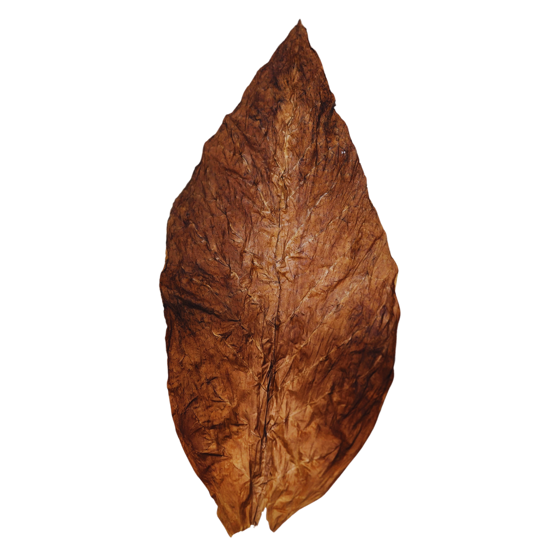 Full Leaf Grabba – Unmatched Quality and Flavor (1 Leaf, 3 Leafs, 5 Leafs Available) - Gizmo Grabbas