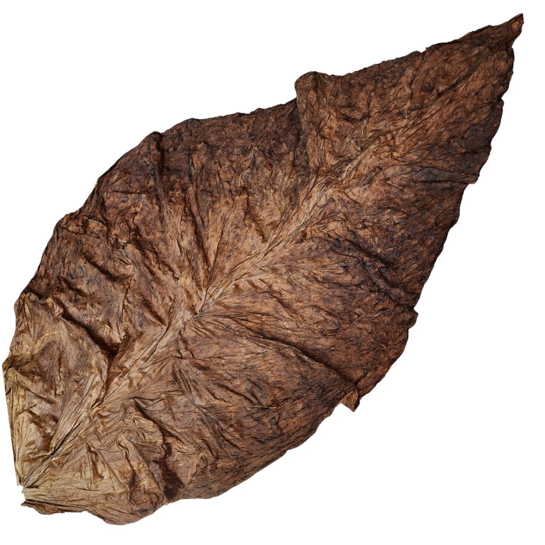 Full Leaf Grabba – Unmatched Quality and Flavor (1 Leaf, 3 Leafs, 5 Leafs Available)