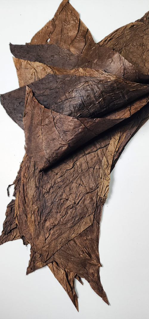 Black Caviar Grabba Leaf – 1lb | Premium-Grade Natural Tobacco Leaf GizmoGrabbas Grabba Leaf