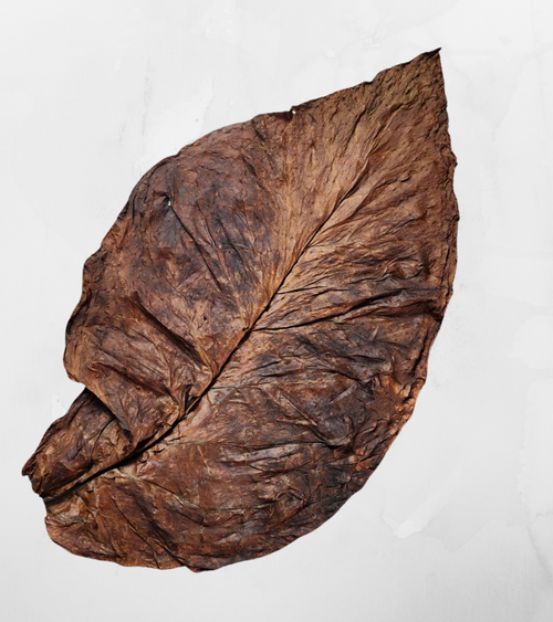 Intense Fire Roasted Grabba Leaf – Buy Maximum Potency Natural Tobacco GizmoGrabbas One Grabba Leaf